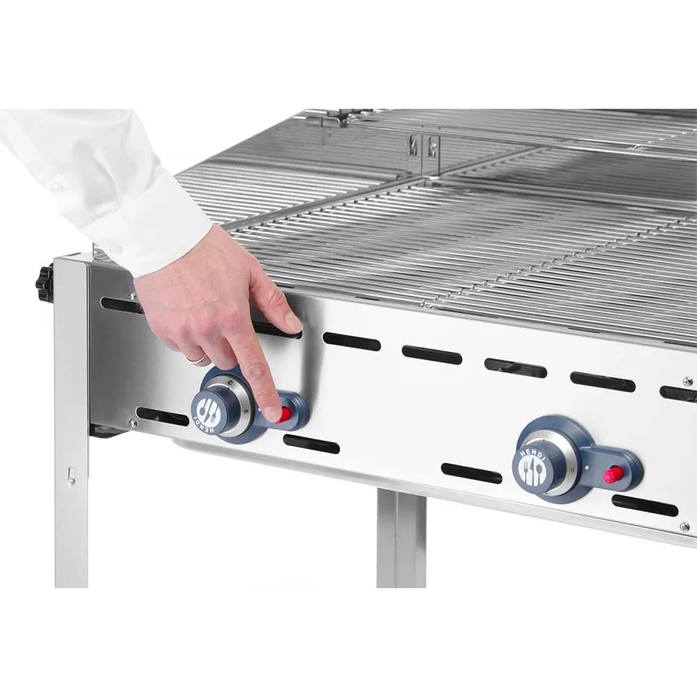 Grillsystem Green Fire 2 Brenner - 24 Mon. Vollgarantie inkl. 