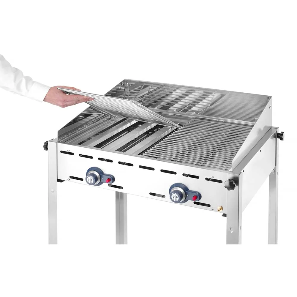 Grillsystem Green Fire 2 Brenner - 24 Mon. Vollgarantie inkl. 