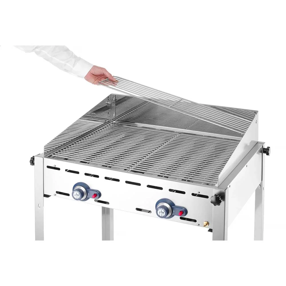Grillsystem Green Fire 2 Brenner - 24 Mon. Vollgarantie inkl. 