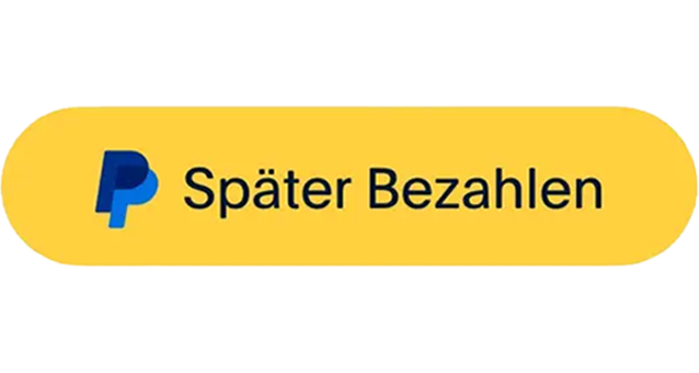 PayPal später bezahlen (Icon)